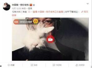 冷江一中爆料事件视频,视频揭露惊人真相